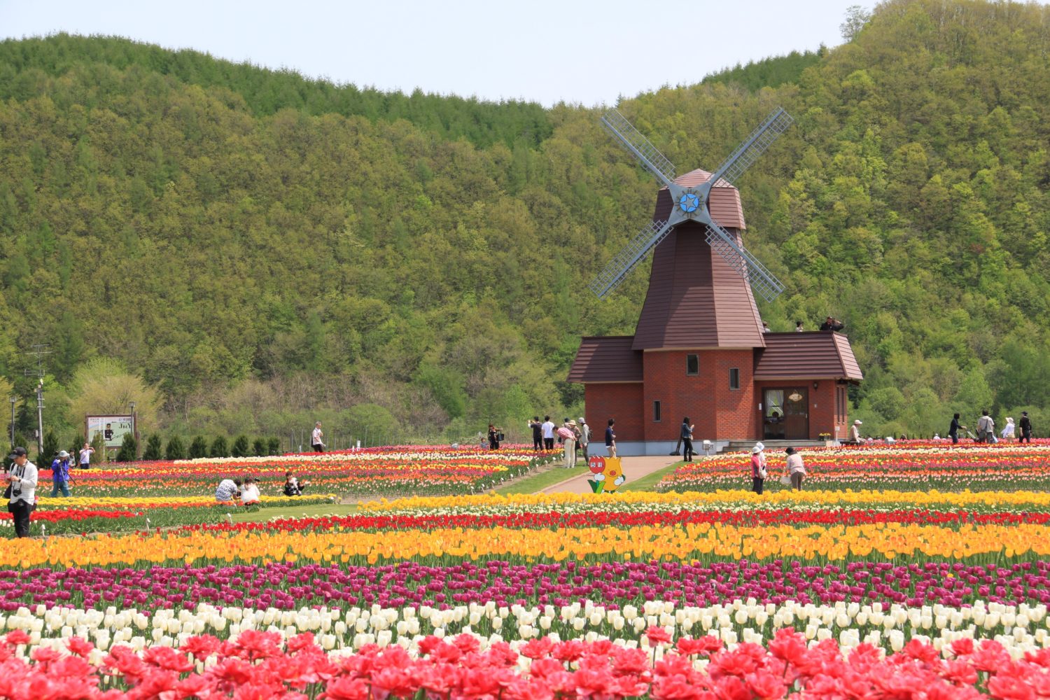 Yubestsu Tulip Farm