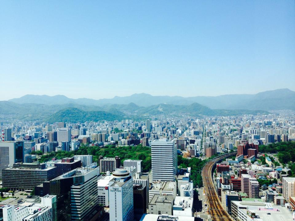Sapporo city view