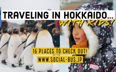 travel with kids in hokkaido