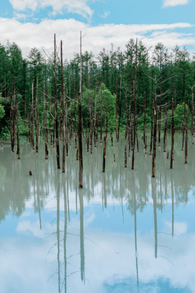 Blue Pond reflections!